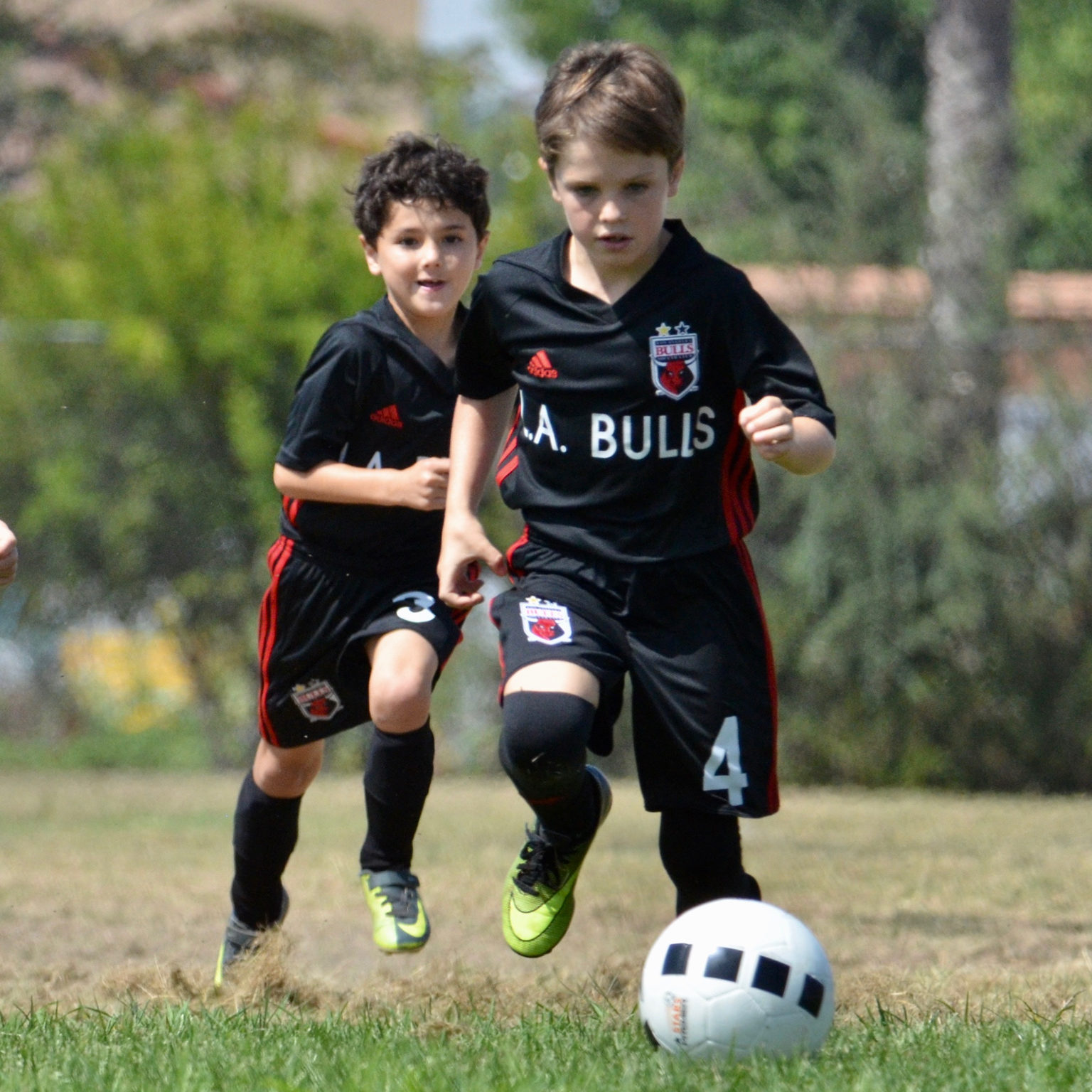 LA BullB09 in Action LA Bulls B09 in action